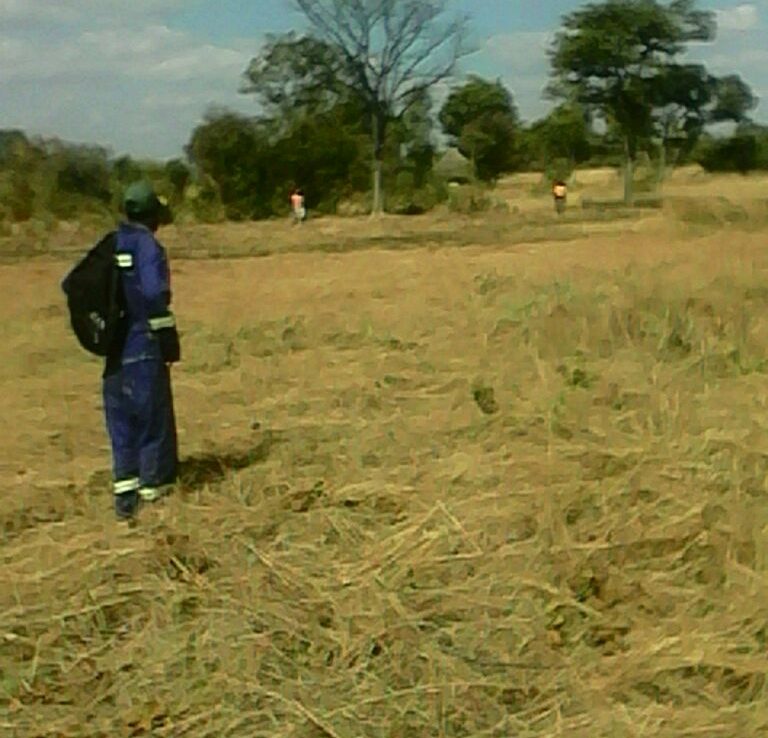 PLOT FOR SALE CHEGUTU ShonaHome