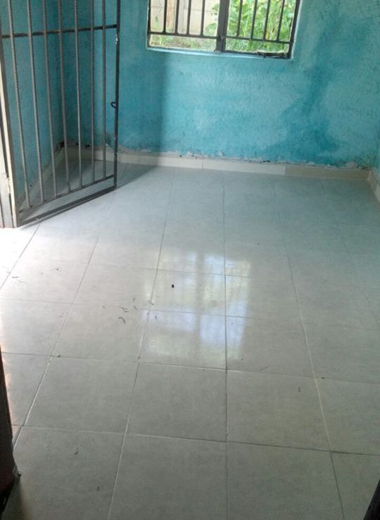 House For Rent Hatfield ShonaHome