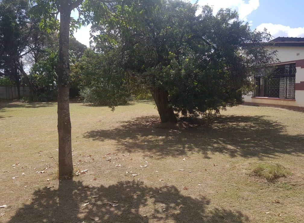 Greendale House For Sale ShonaHome