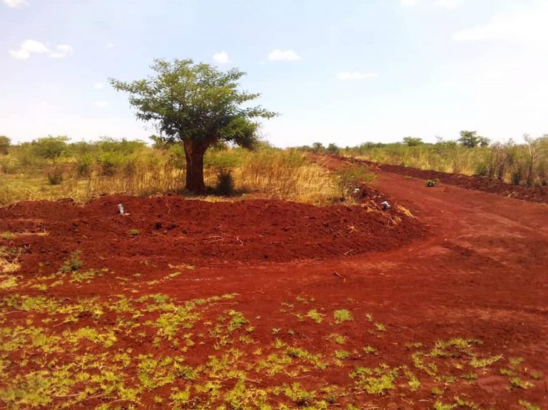 KADOMA STANDS FOR SALE KADOMA PARK ShonaHome