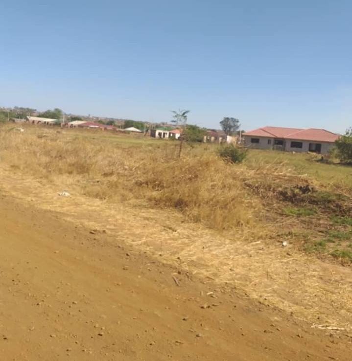 GLENVIEW 7 EXTENSION STAND FOR SALE ShonaHome