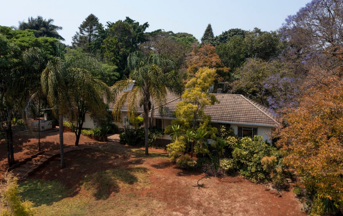 Lewisam Avenue house for sale ShonaHome