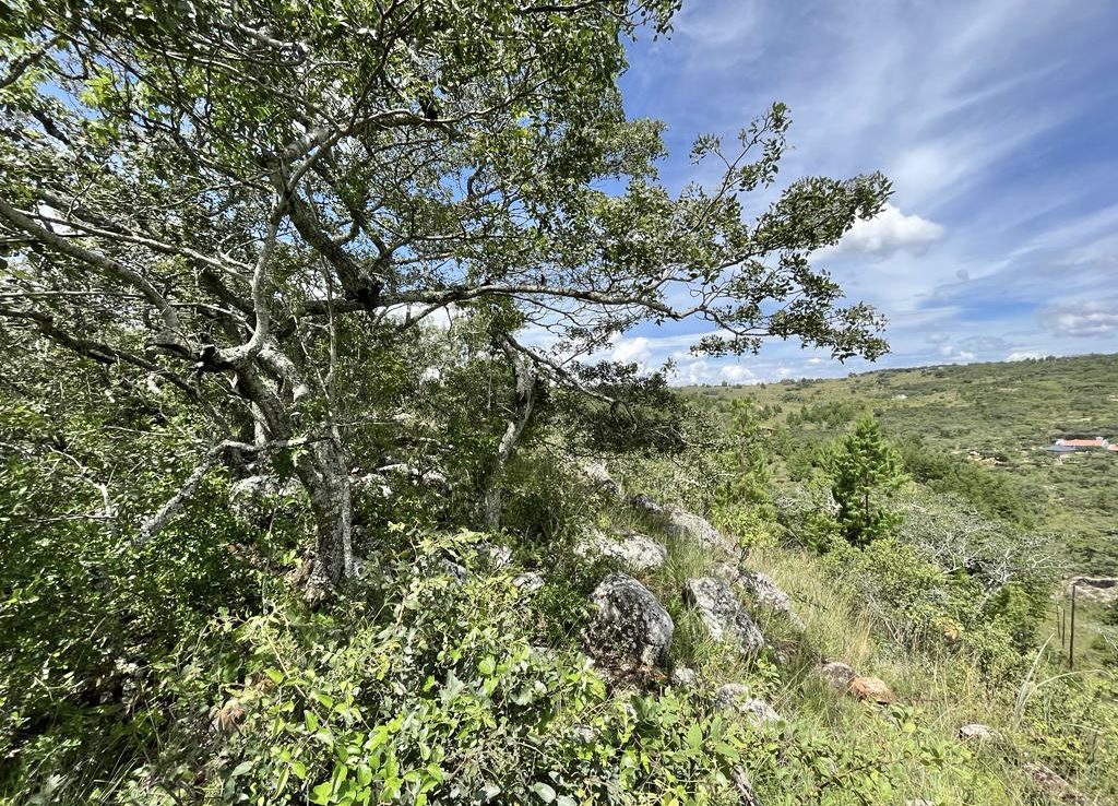 Land For Sale In Nyanga ShonaHome