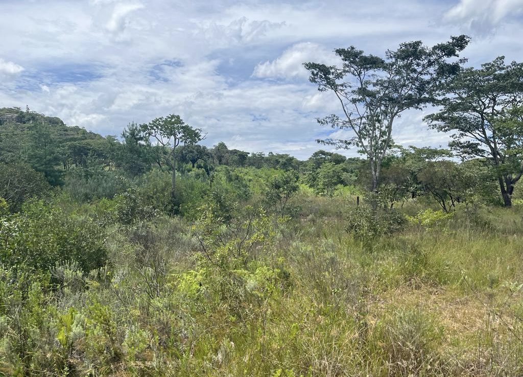 Land For Sale In Nyanga ShonaHome